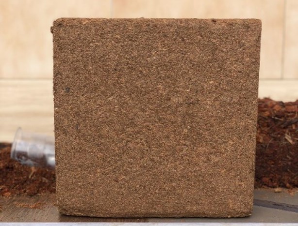 coco peat block