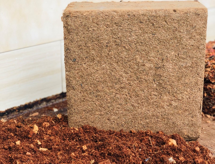 coco peat block