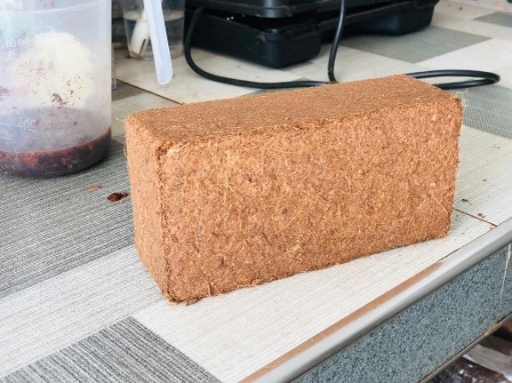 Coco Peat Bricks