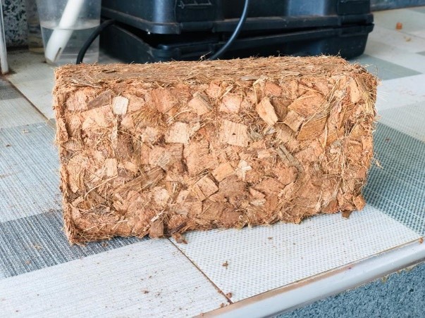 coir fibre