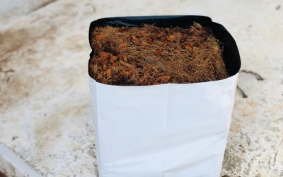 Cocopeat manufacturers in Sri Lanka