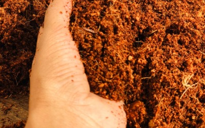 Cocopeat manufacturers in Sri Lanka