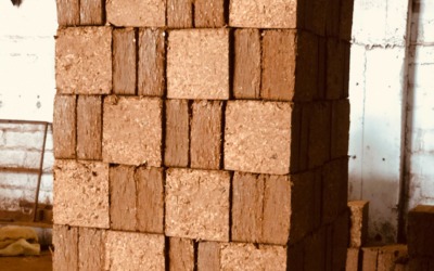 Cocopeat manufacturers in Sri Lanka