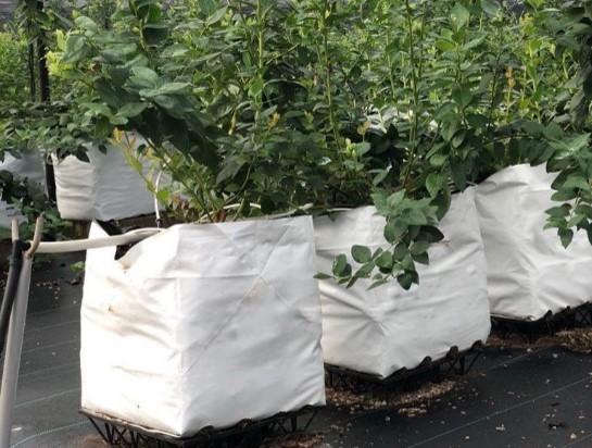 Agrow Open Top Grow Bags
