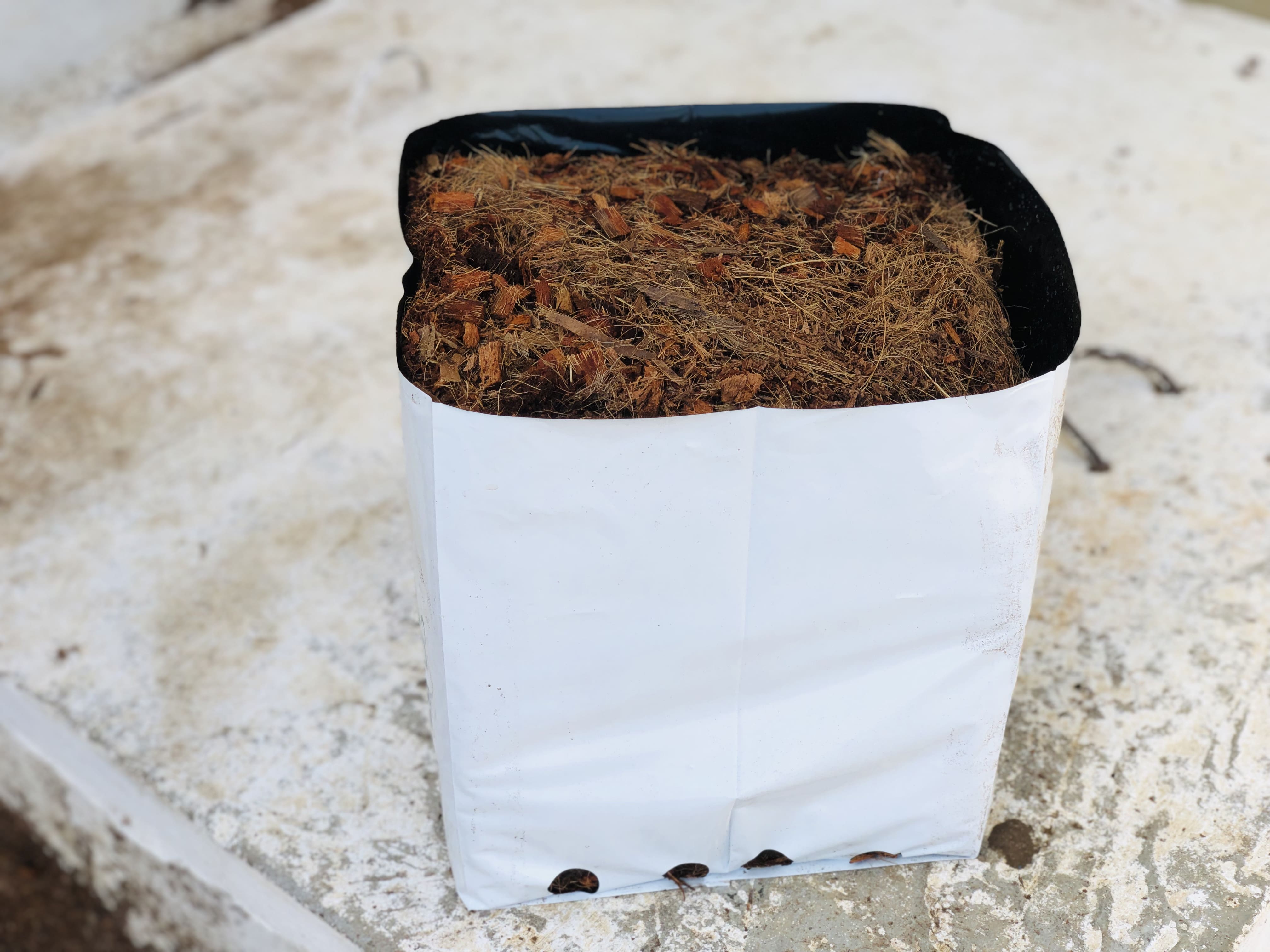 Cannabis Open Top Grow Bags