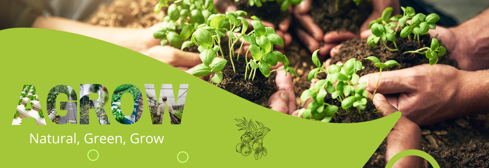 Cocopeat manufacturers in Sri Lanka